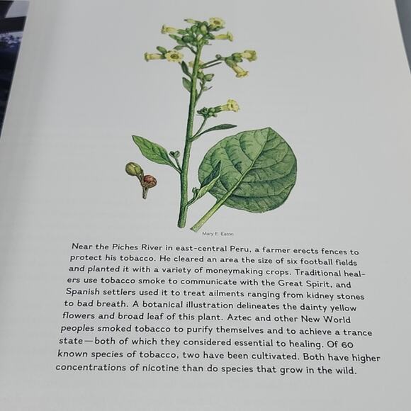 Natures Medicine Plants That Heal: a Chronicle of Mankind's Search for Healing - Picture 7 of 12